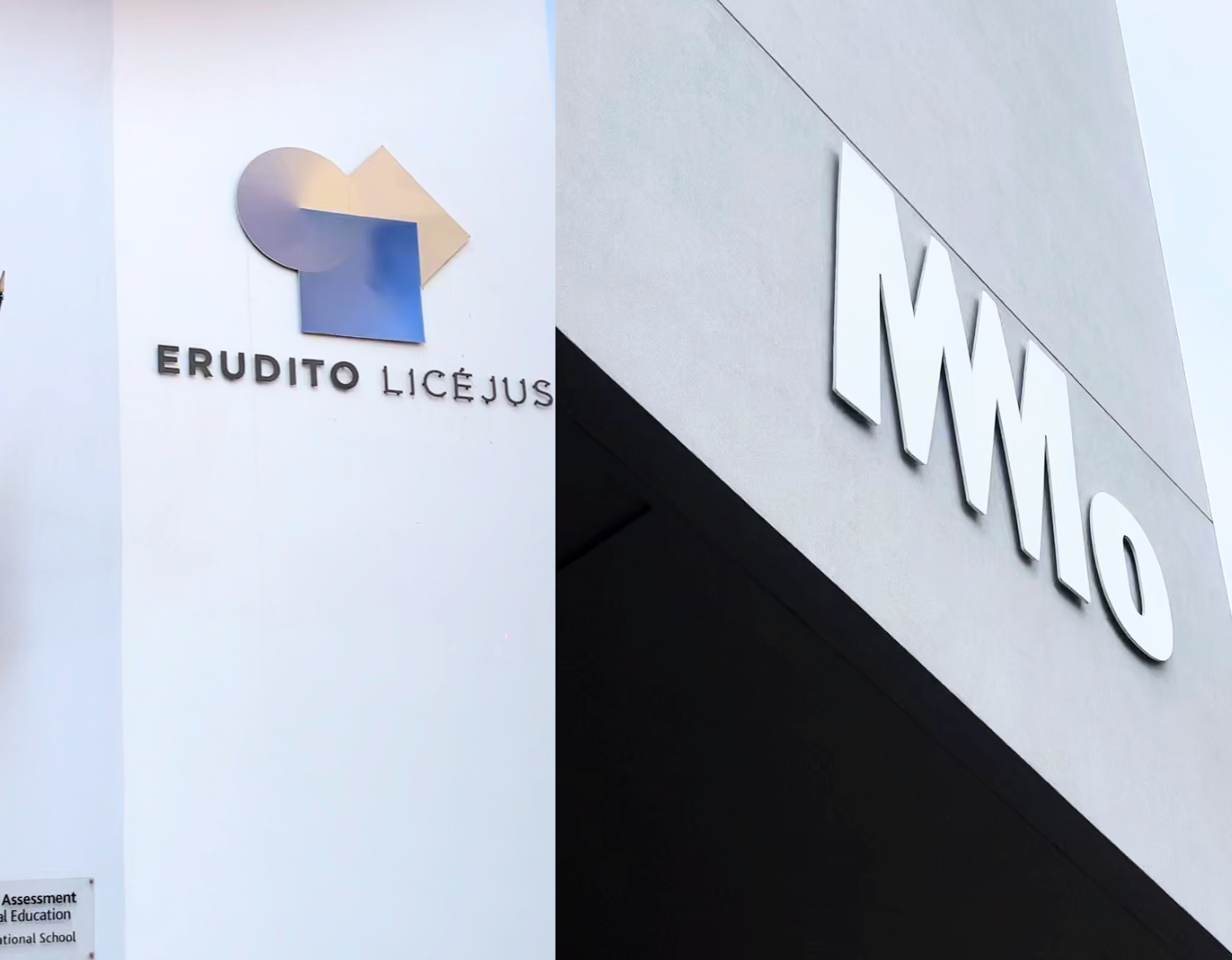 Mokymasis per meną: Erudito licėjaus ir MO muziejaus tvari partnerystė